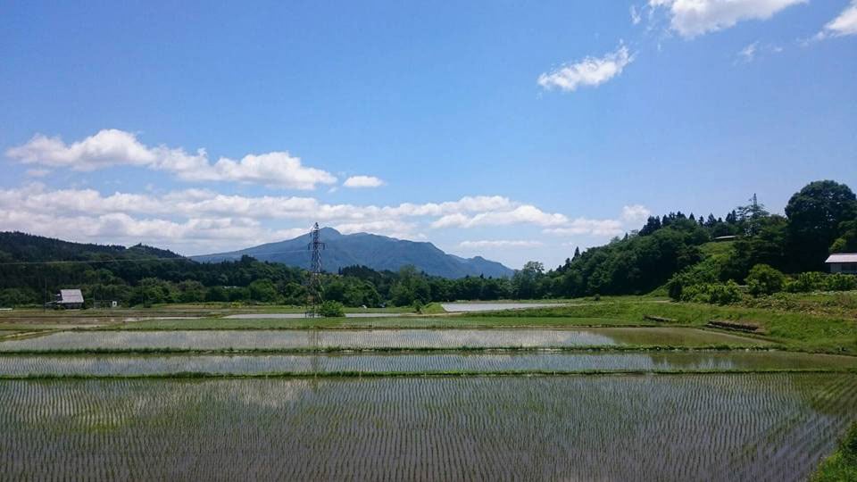 * Surrounding area: A rice paddy landscape that touches the hearts of Japanese people.
