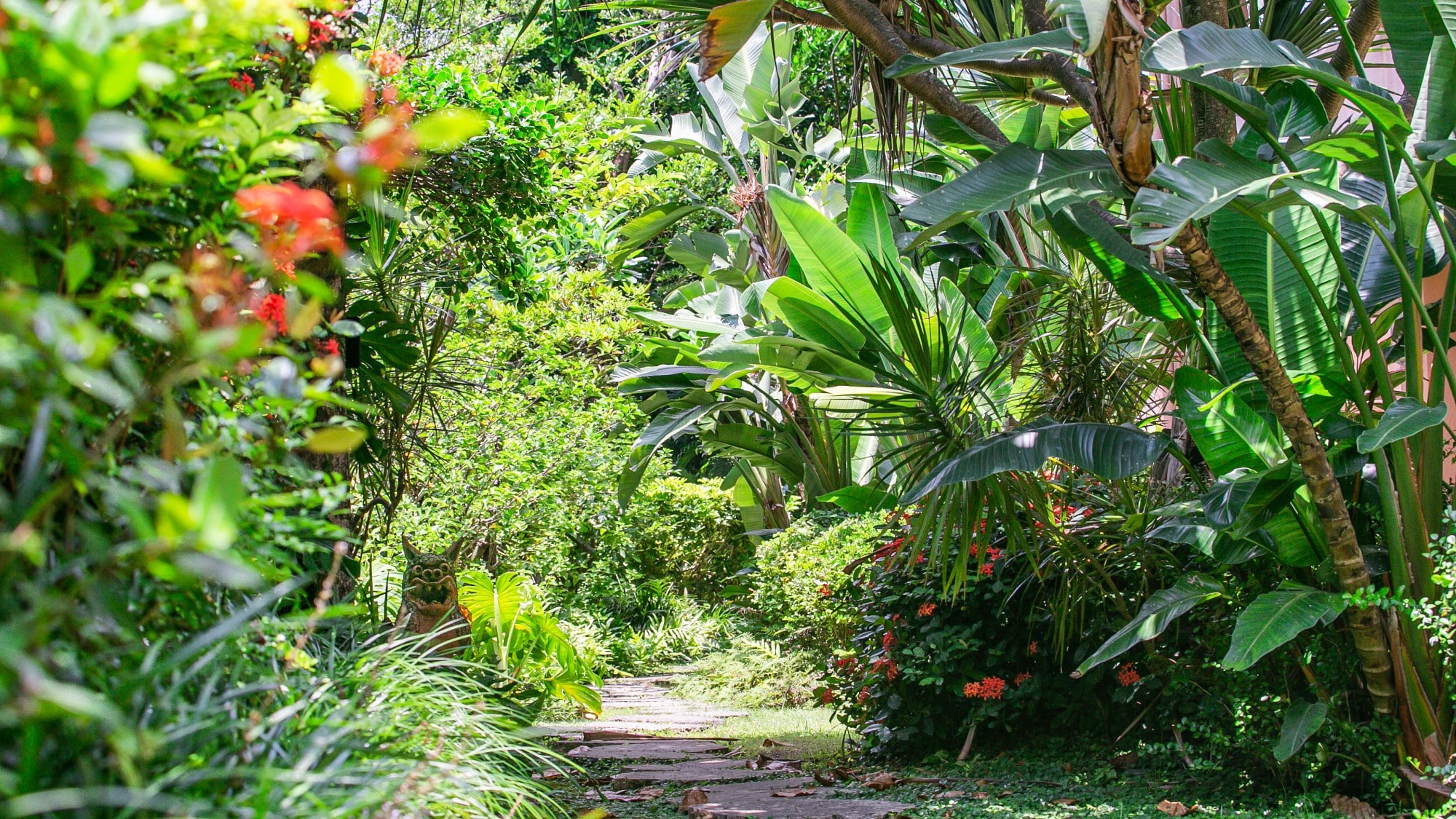 [Garden]