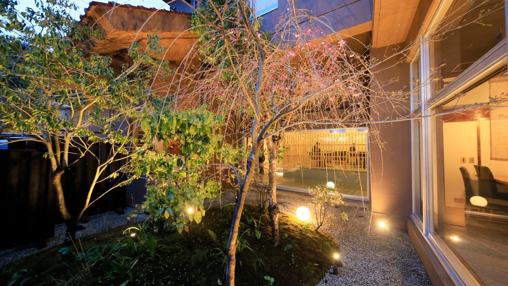 [Garden] The garden is lit up at night (example)