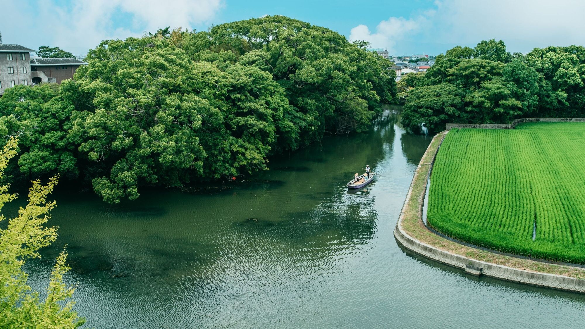 [Pemandangan dari hotel]