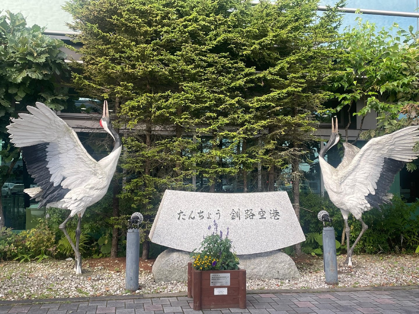 AA8A4A49-649C-498B-99CC-DAA4A49DB984.jpeg