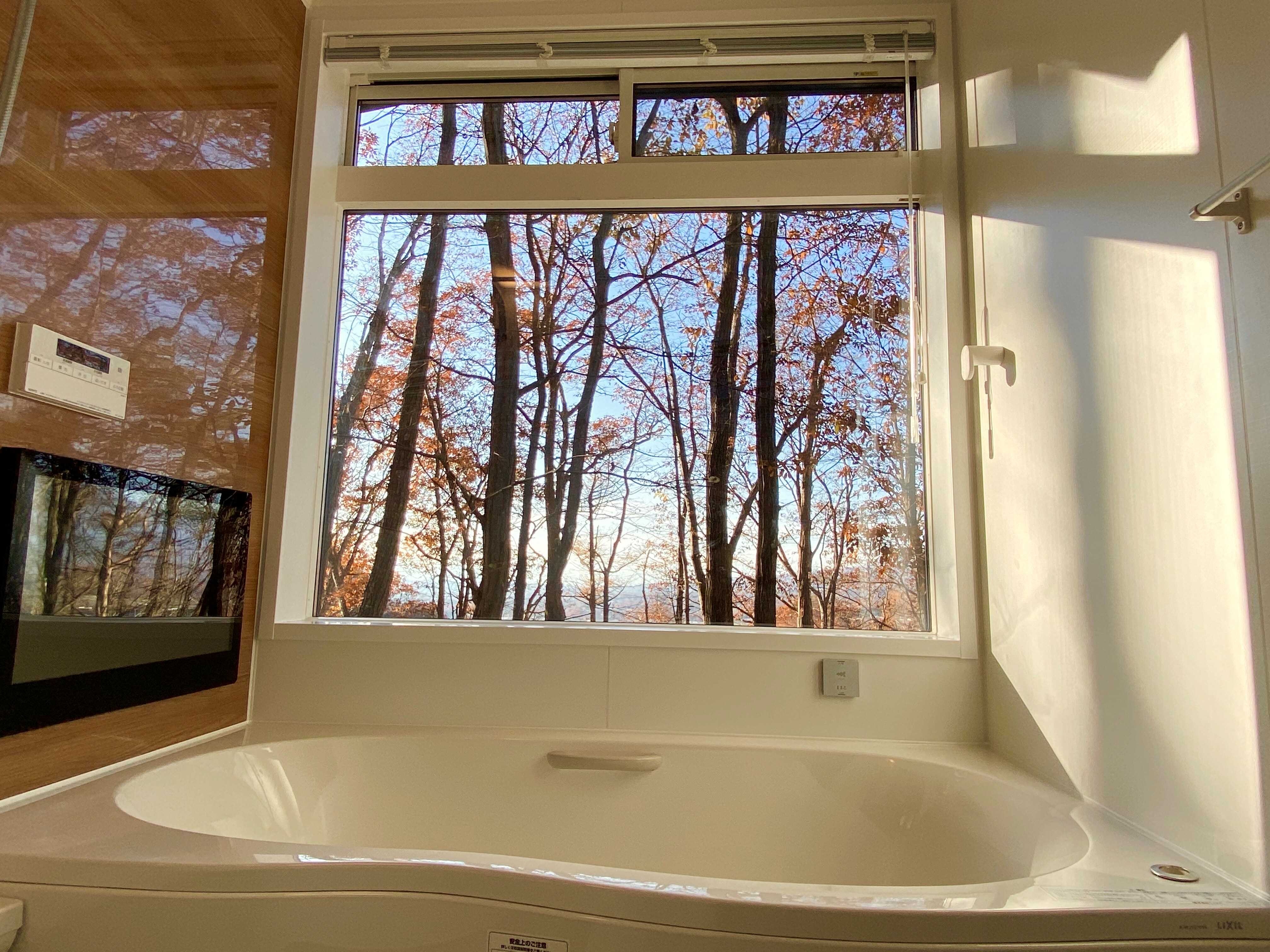 Honors Hill 12 Bathroom (Jet Bath)