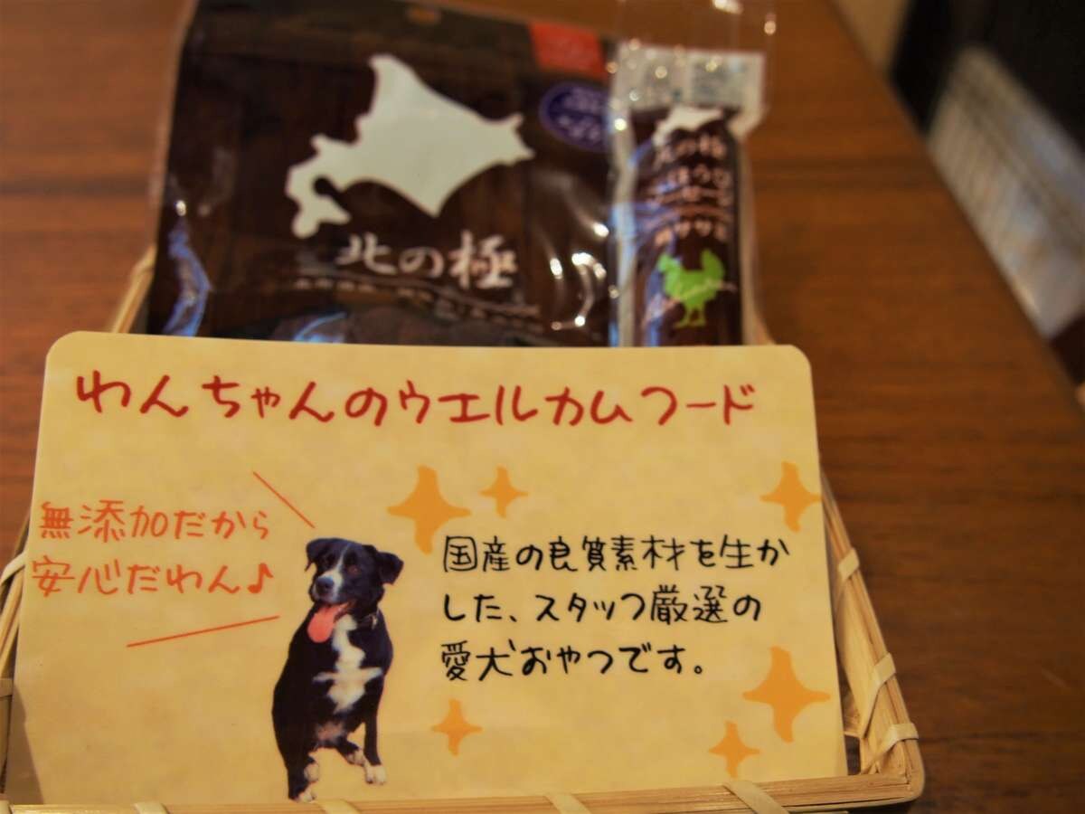 Special offers for dogs