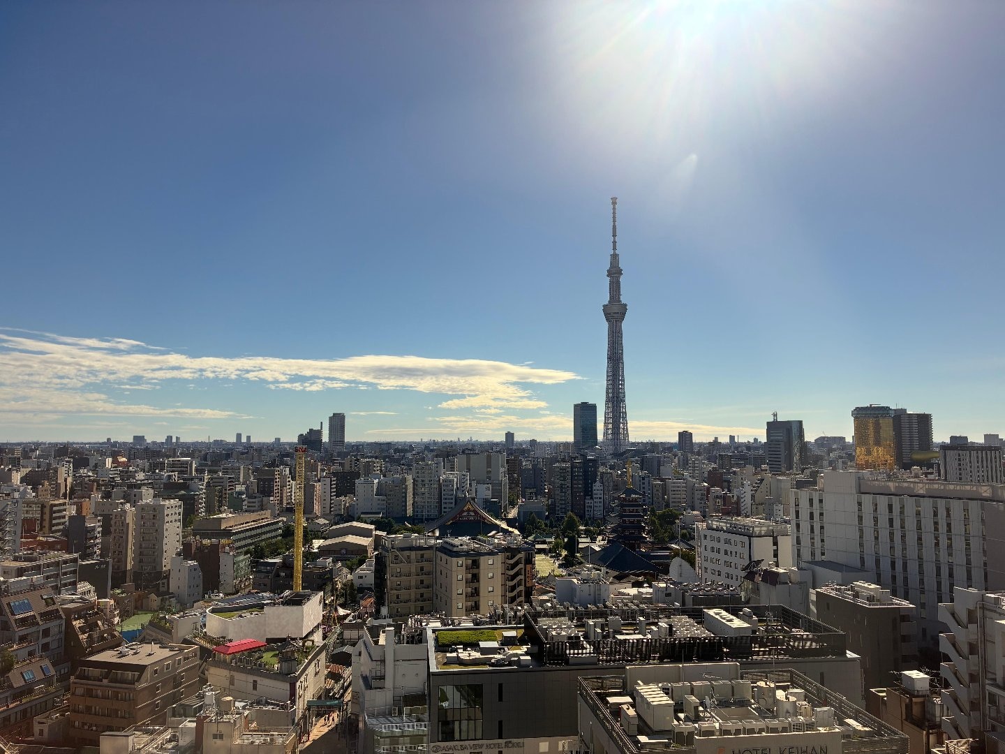 IMG_1321.jpeg