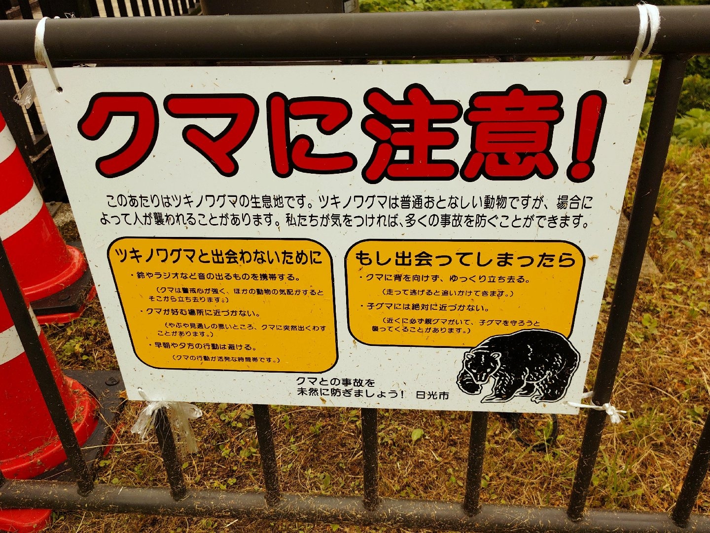 22488.jpg