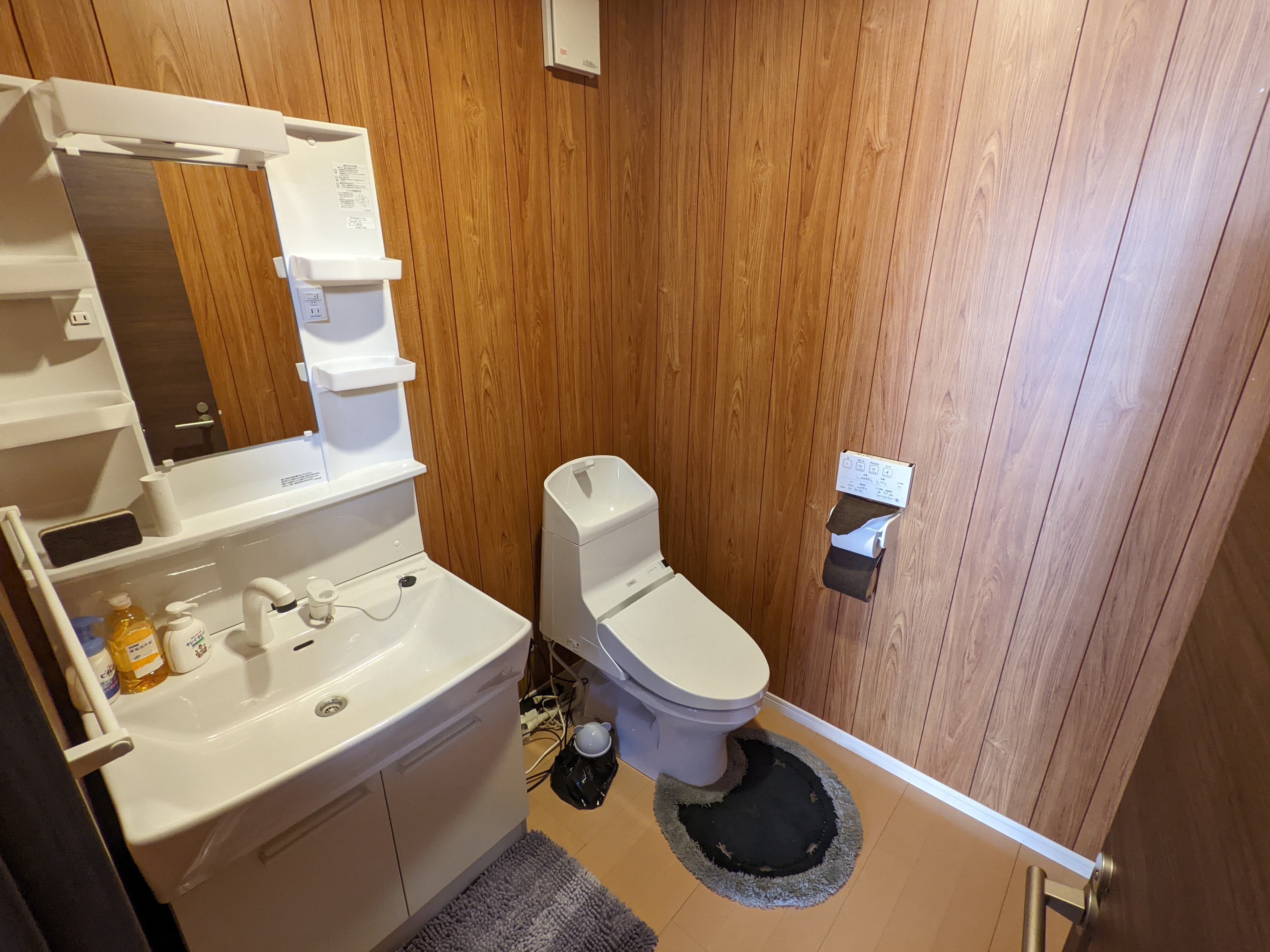 Toilet and washbasin. There is no bath or shower.