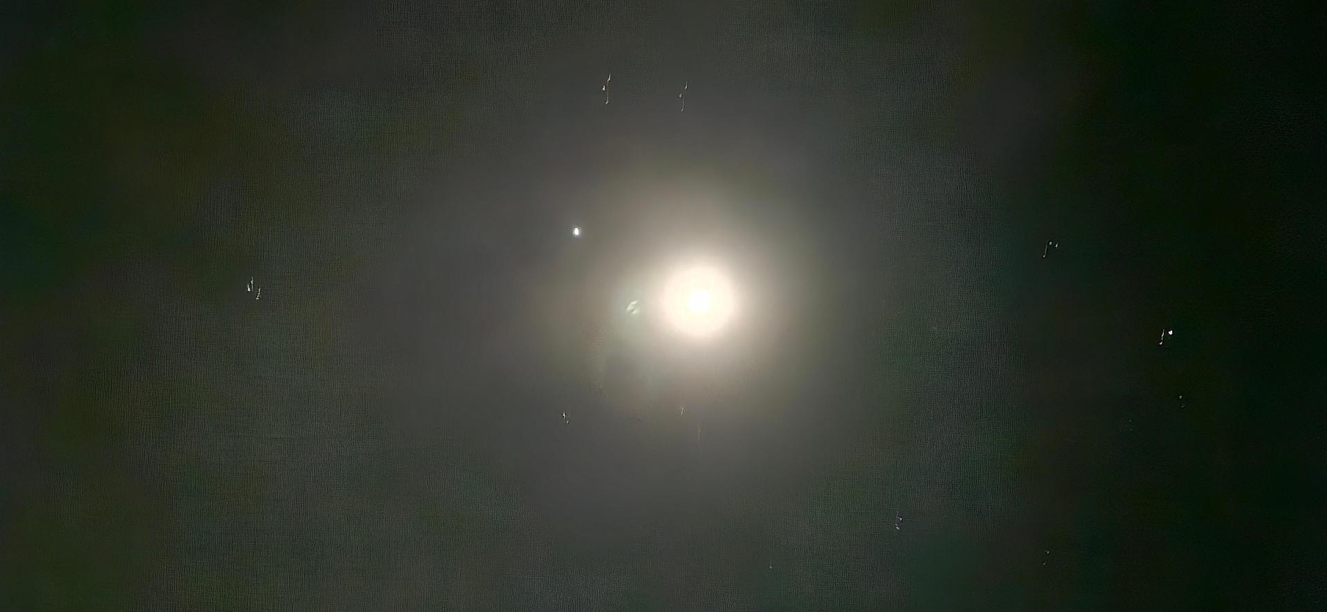 1000018780.jpg