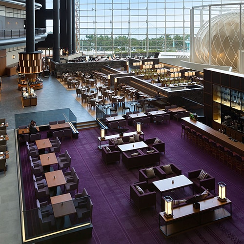 [小酒馆和休息室 Ciara]