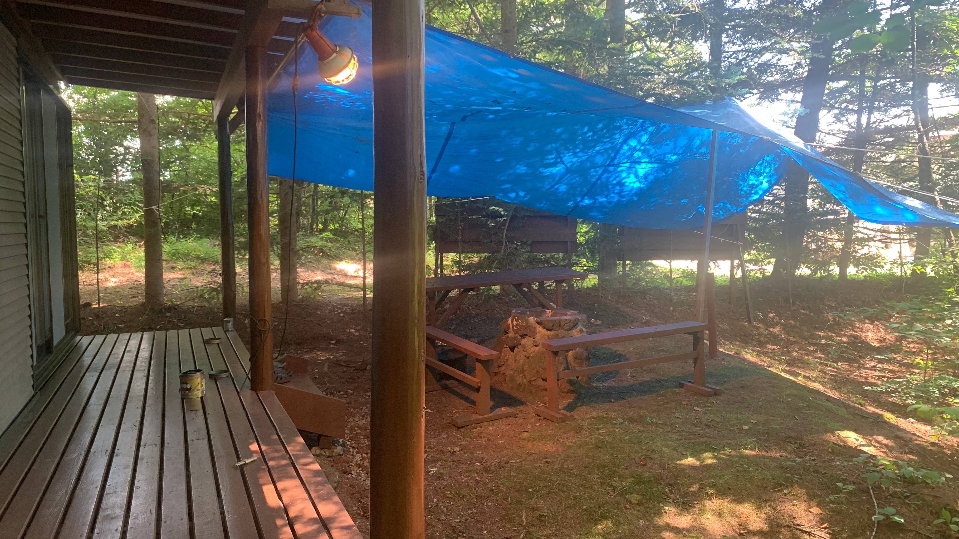 Building A backyard