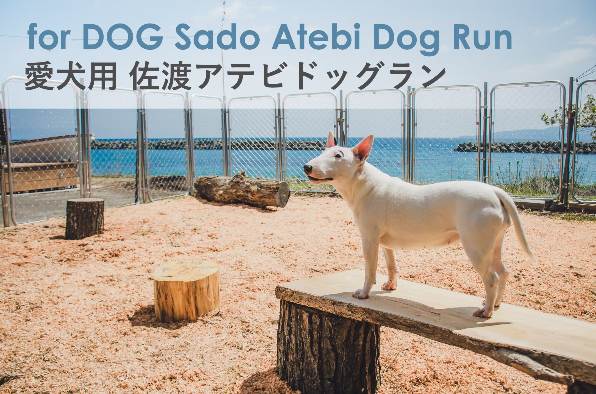 Dedicated dog run