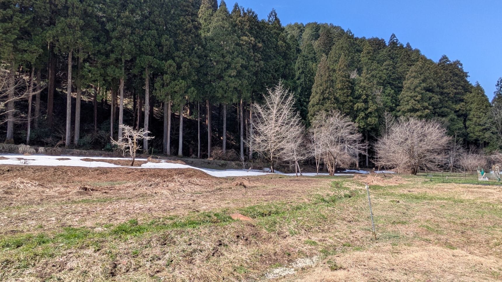 Walking Area