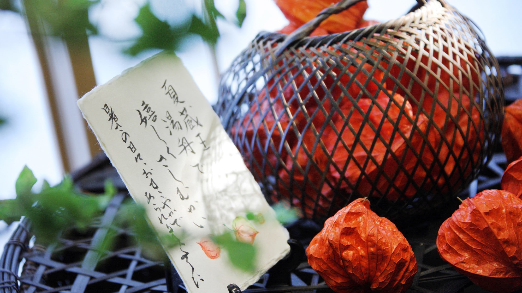 [ภาพ] เจ้าของร้านเขียนข้อความถึงลูกค้าทั่วทั้งอาคาร
