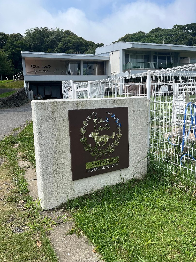IMG_6258.jpeg