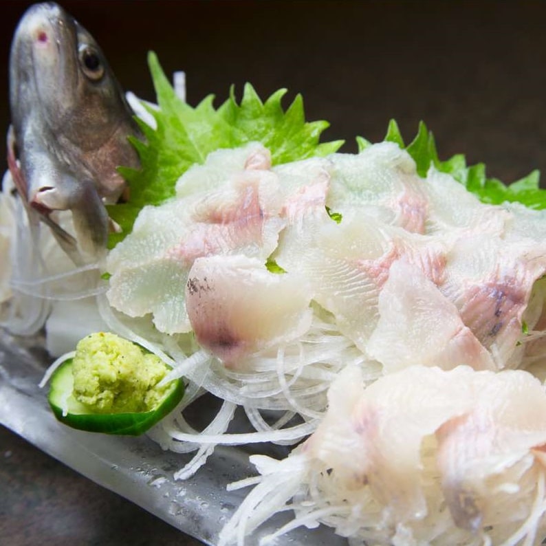Sashimi (for the plan)