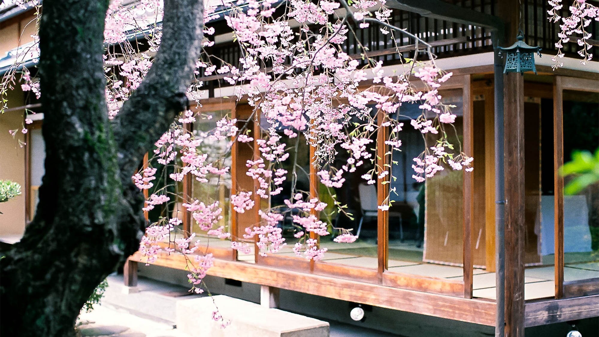 ・[花园] 远离日常生活的喧嚣，花一些时间凝视美丽的花园。