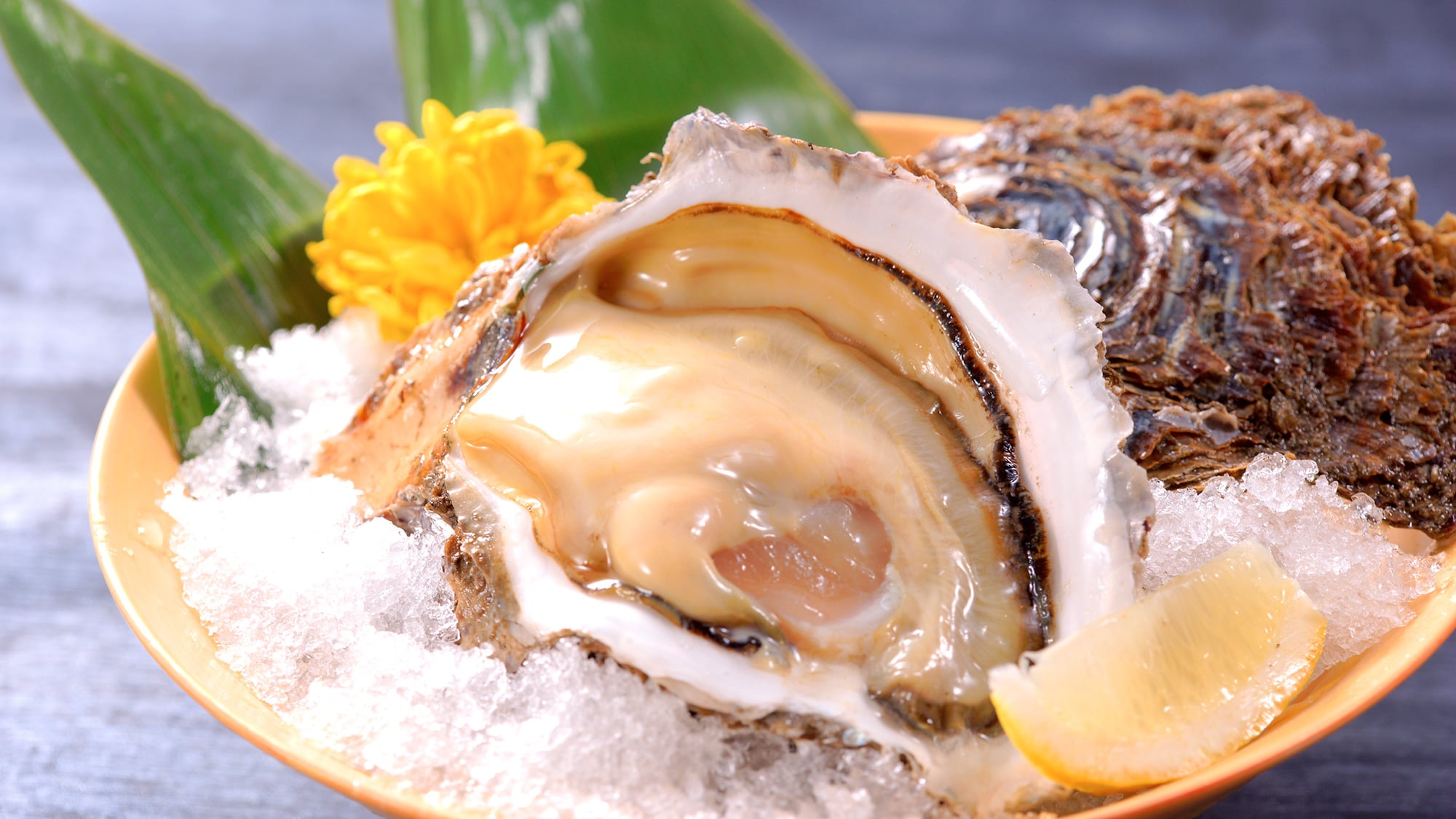 Special order dish: Rock oysters