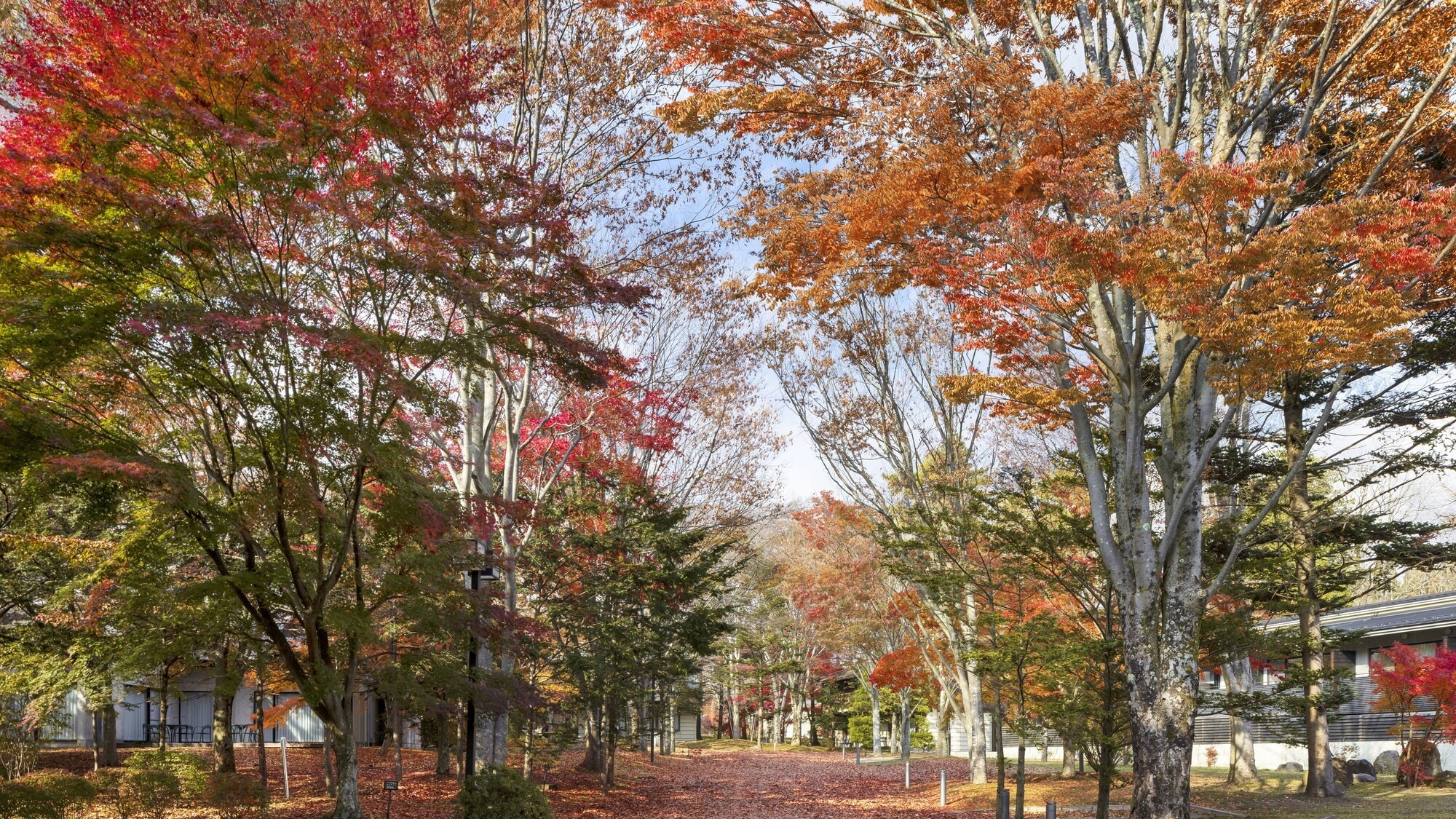 軽井沢マリオットホテル