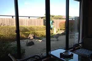 Kamar tamu (gambar) Kamar bergaya Jepang 10 tikar tatami