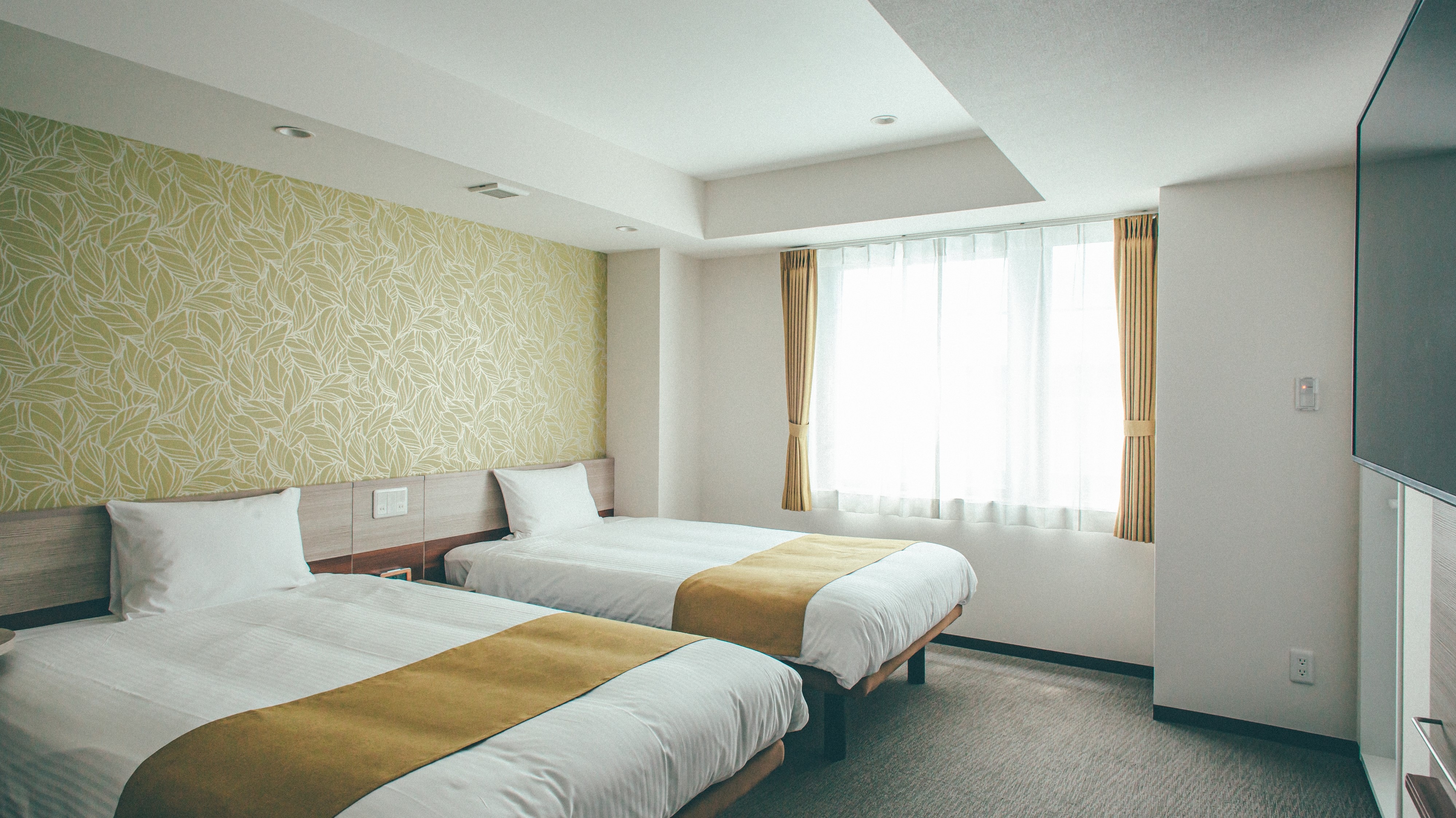 豪华双床房