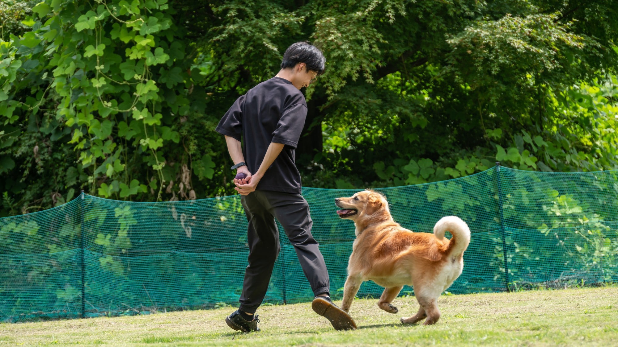 【도그란】완짱과 함께 숙박!