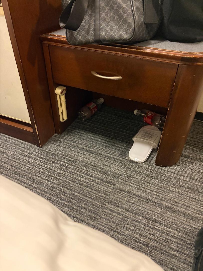 IMG_3876.jpeg