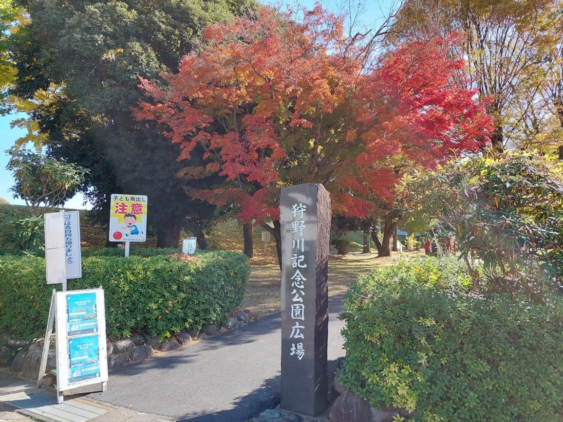 20251121_111646　狩野川記念公園.jpg