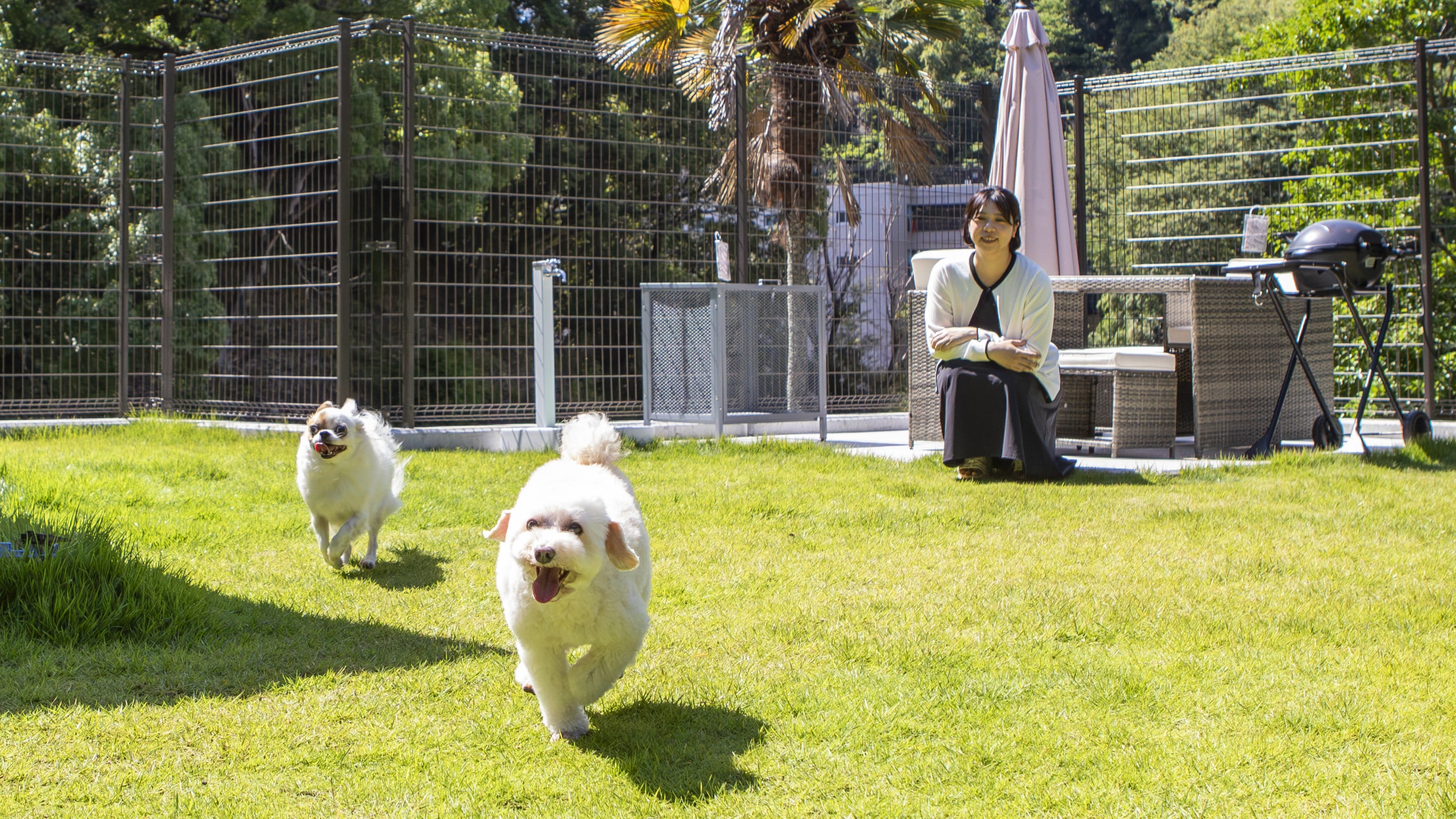 [Villa Annex] Siki -Autumn- Dog Run