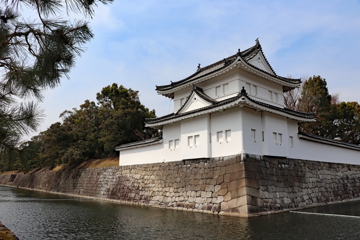 宠物计划 3