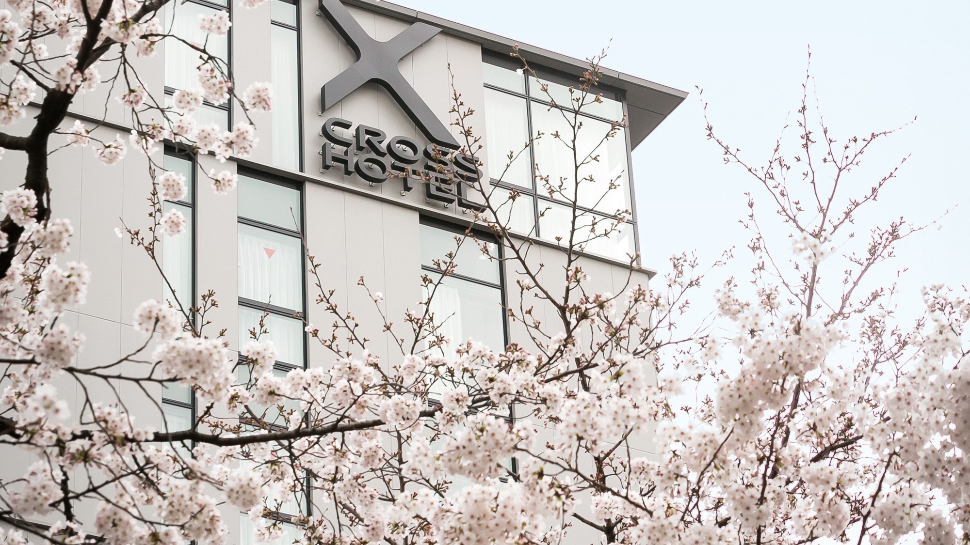Penampilan hotel saat musim bunga sakura