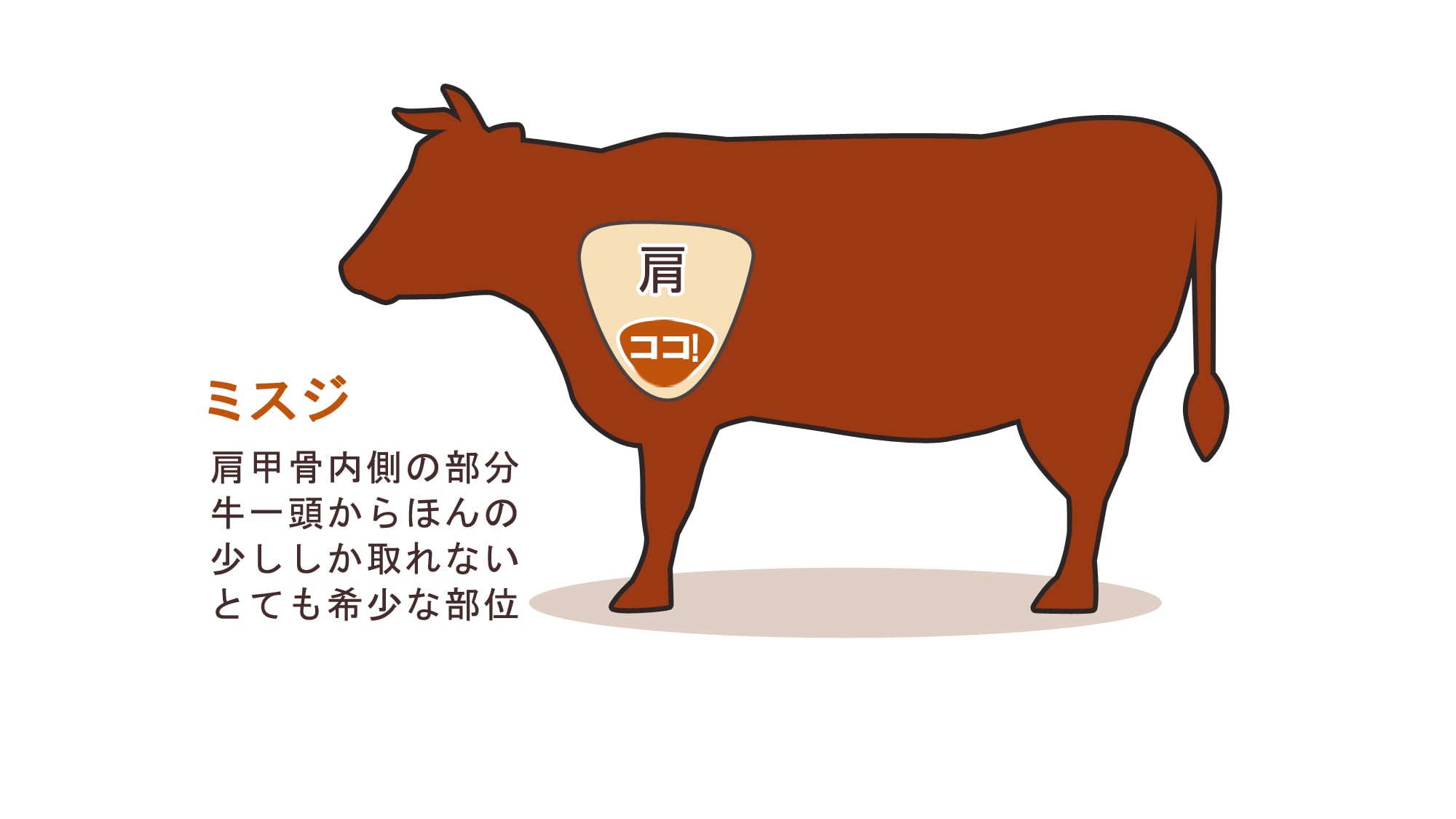Bagian langka "Missji"