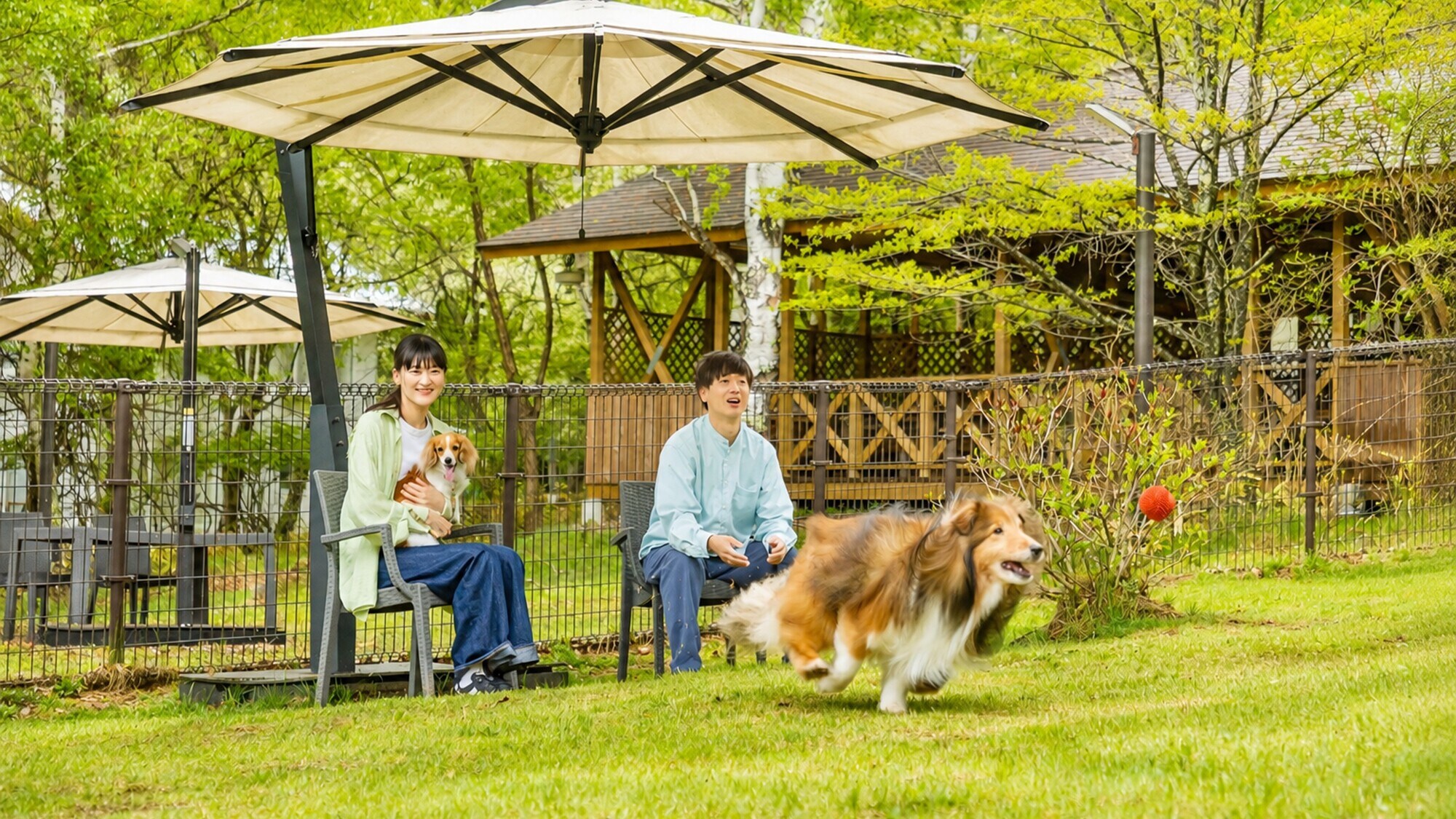 [DOG PARK] Usage Image