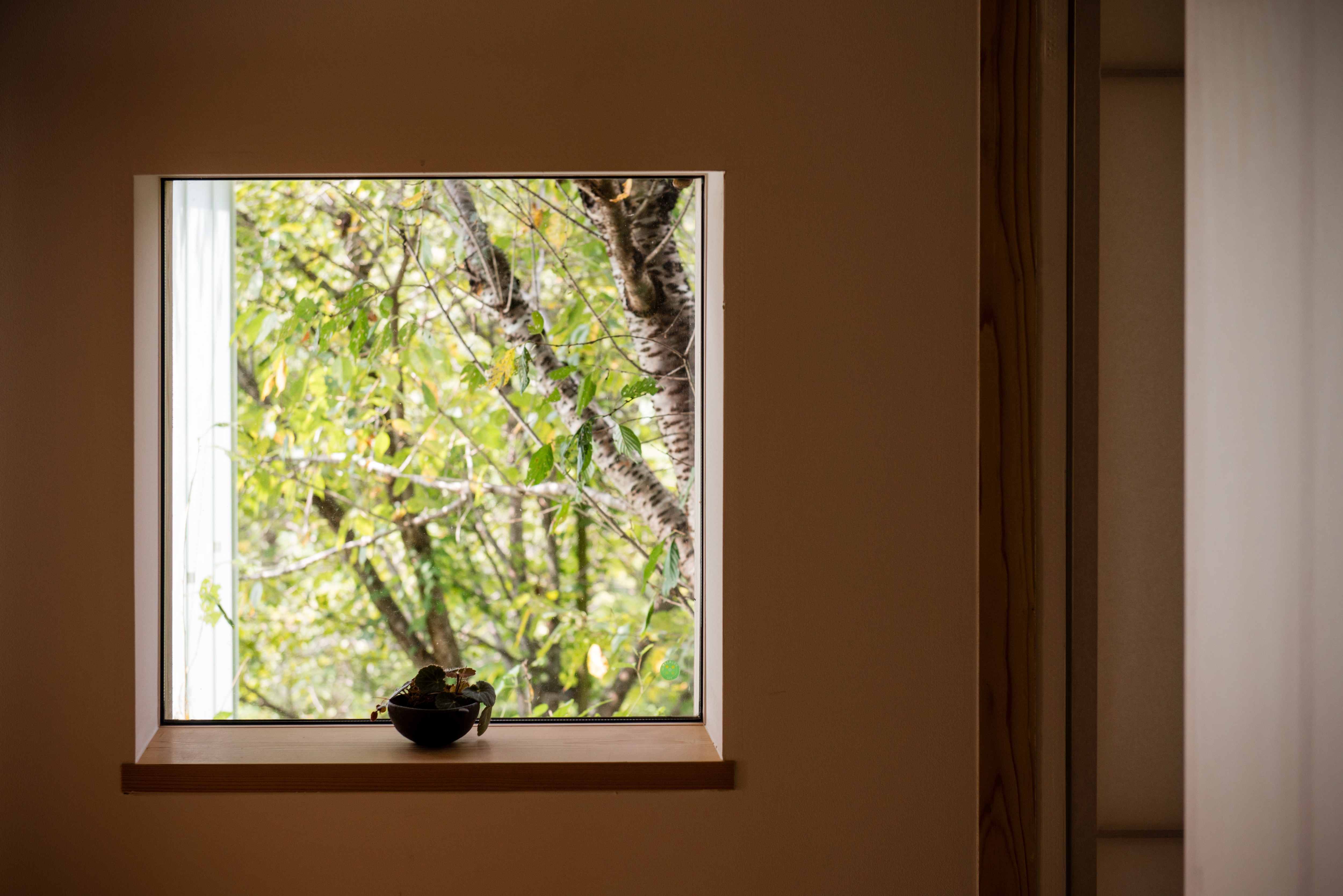 View from the room window