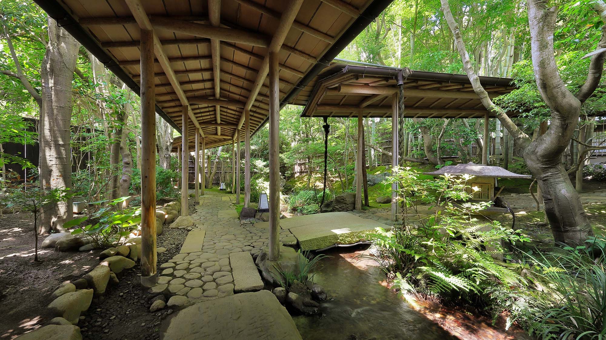 [Inside the building] Garden