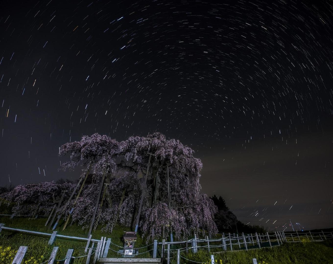 三春滝桜-北斗七星.jpg