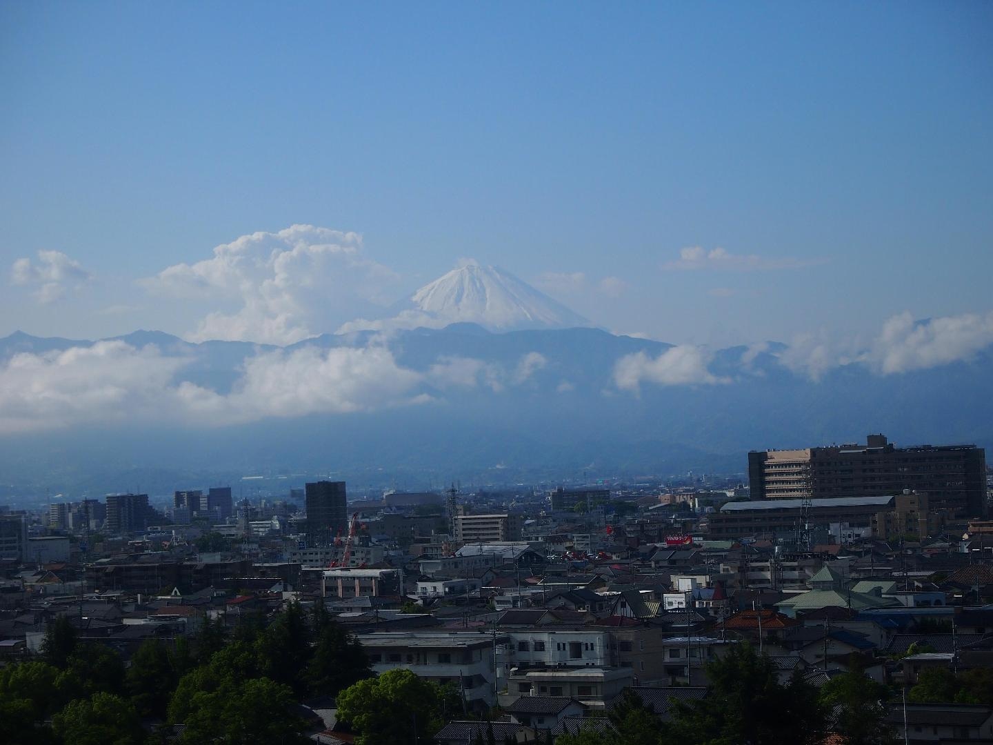 P5144573.JPG