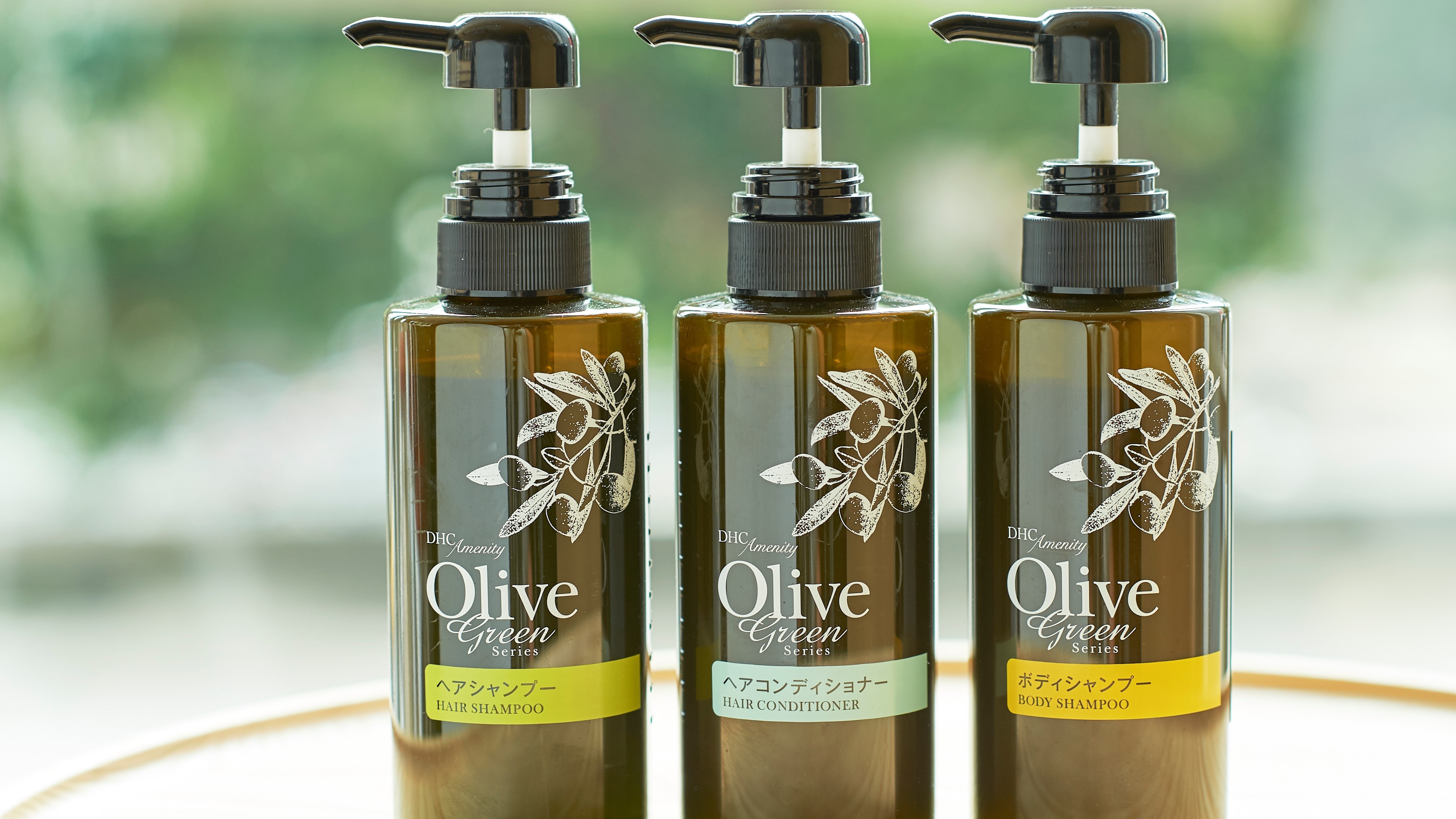 Room amenities (image)