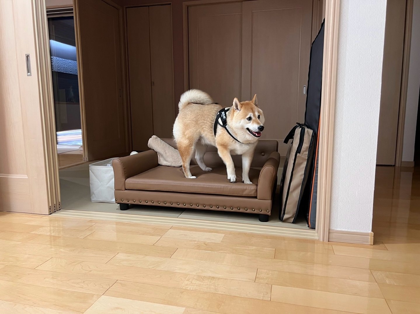 1D0D374A-14E0-4164-B151-C4E2FB0E2128.jpeg