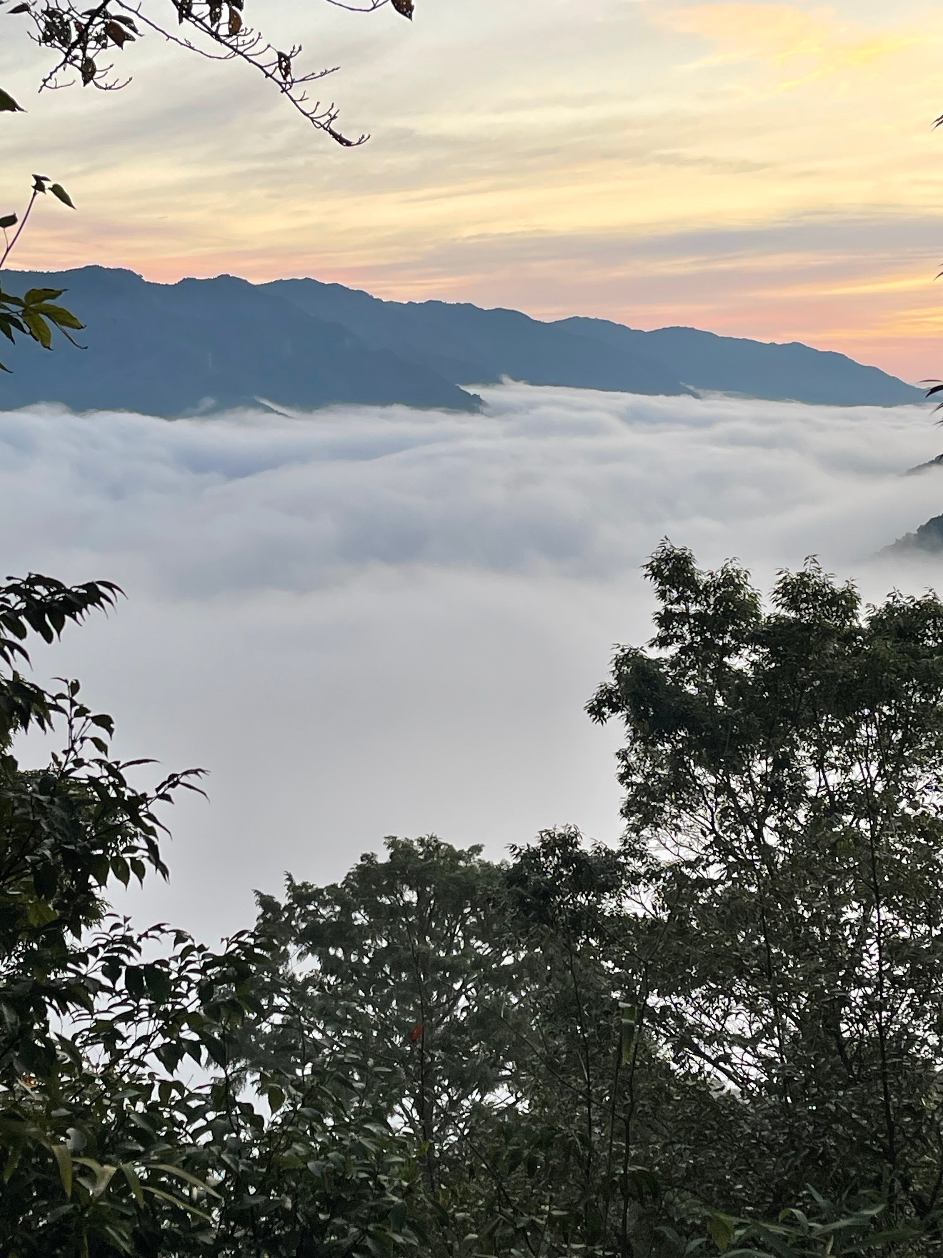 Sea of clouds seen from Mt. Kasagi