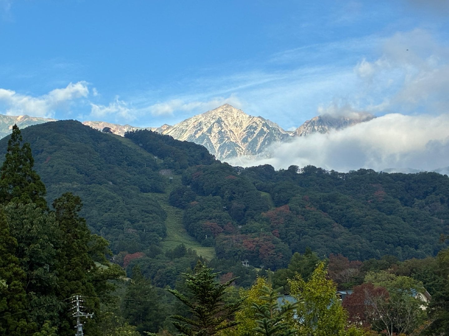 IMG_4149.jpeg