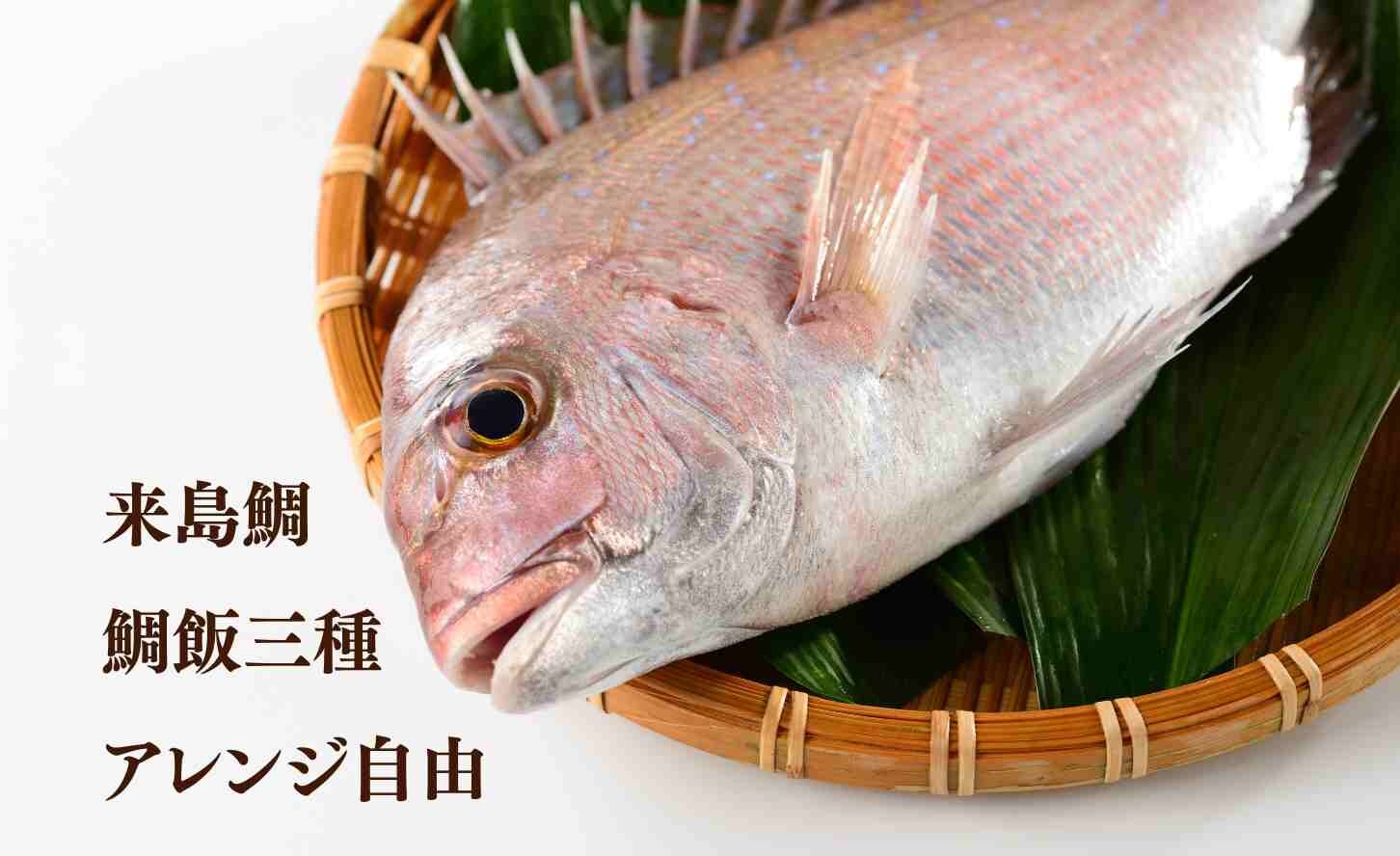 Kurushima sea bream