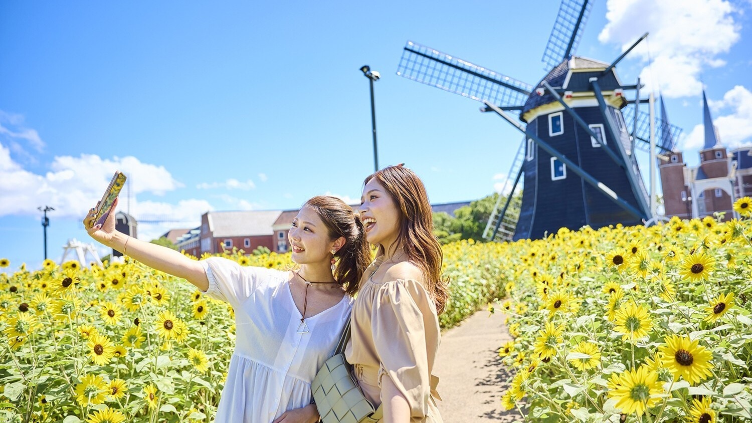 Let's make some summer memories with sunflowers and the cityscape as a backdrop♪ (※Last year's photo)