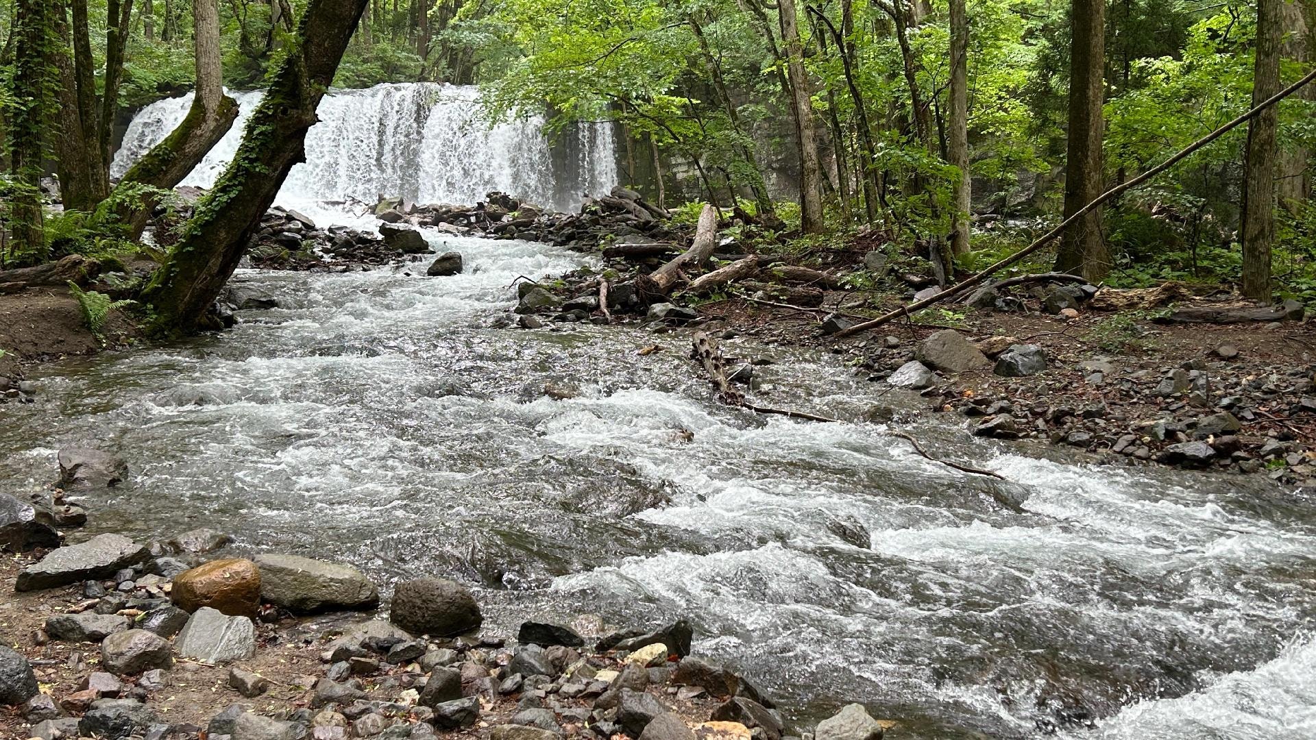 0A976AE5-2182-4F2B-AD48-D8ABAC13FAA4.jpeg