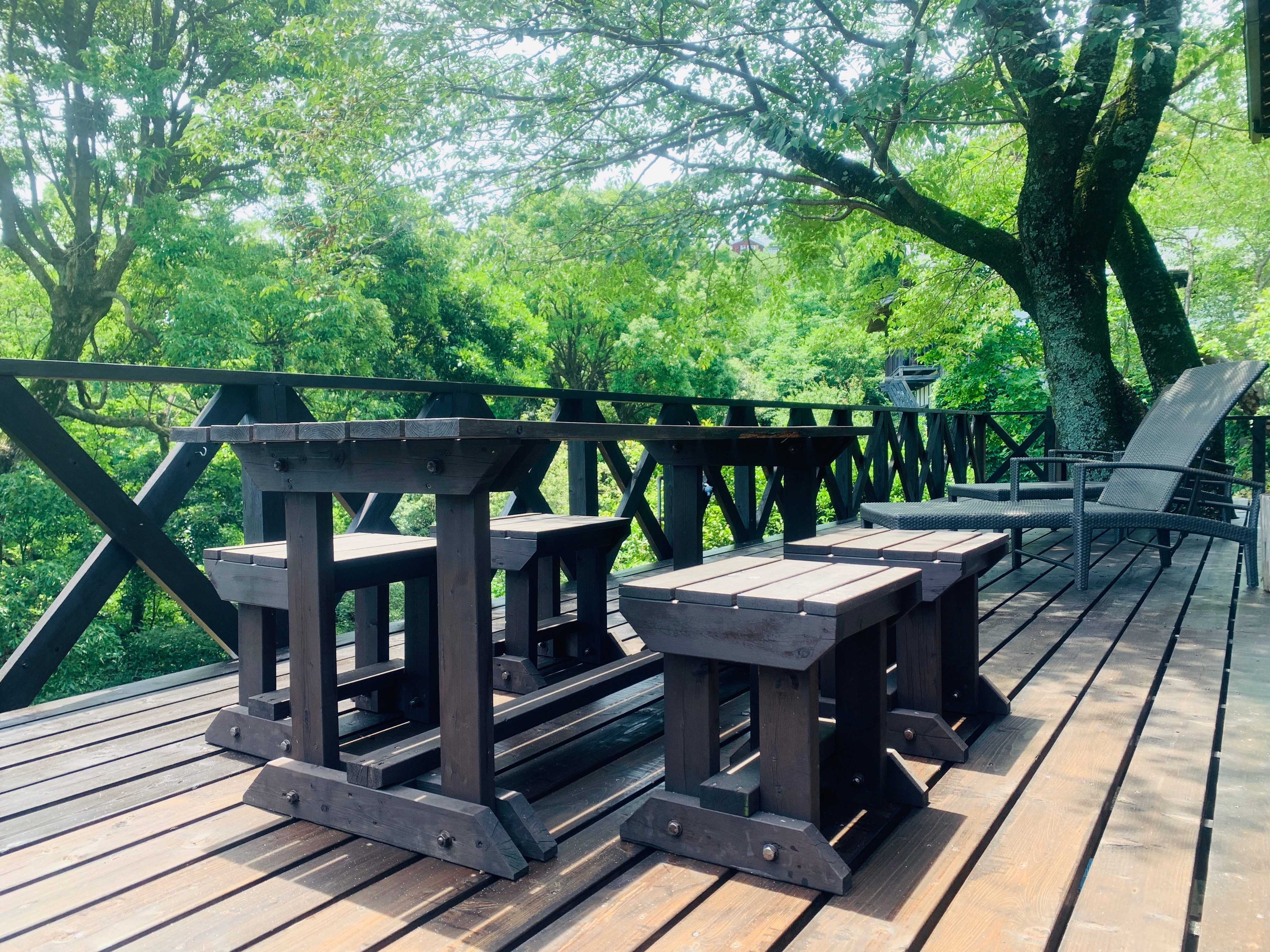 Terrace New 1