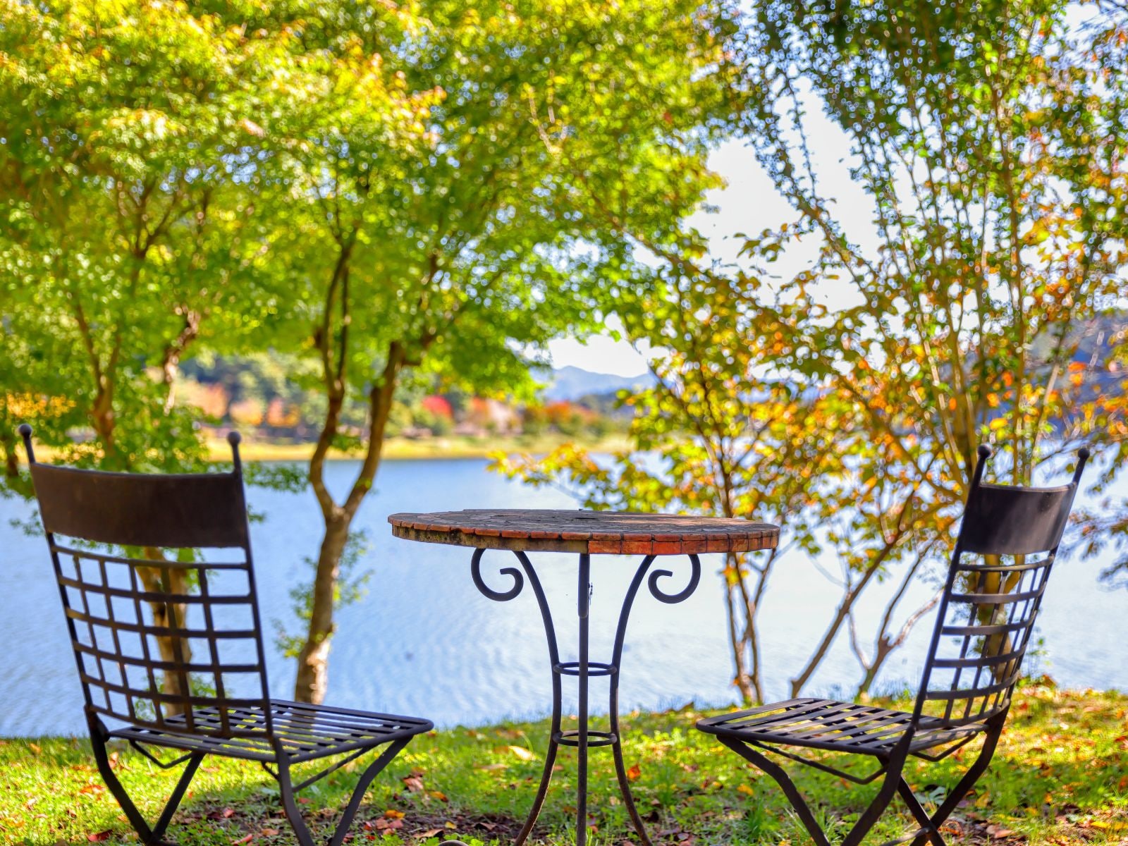 [Ngoại thất] Khu vườn trước khách sạn