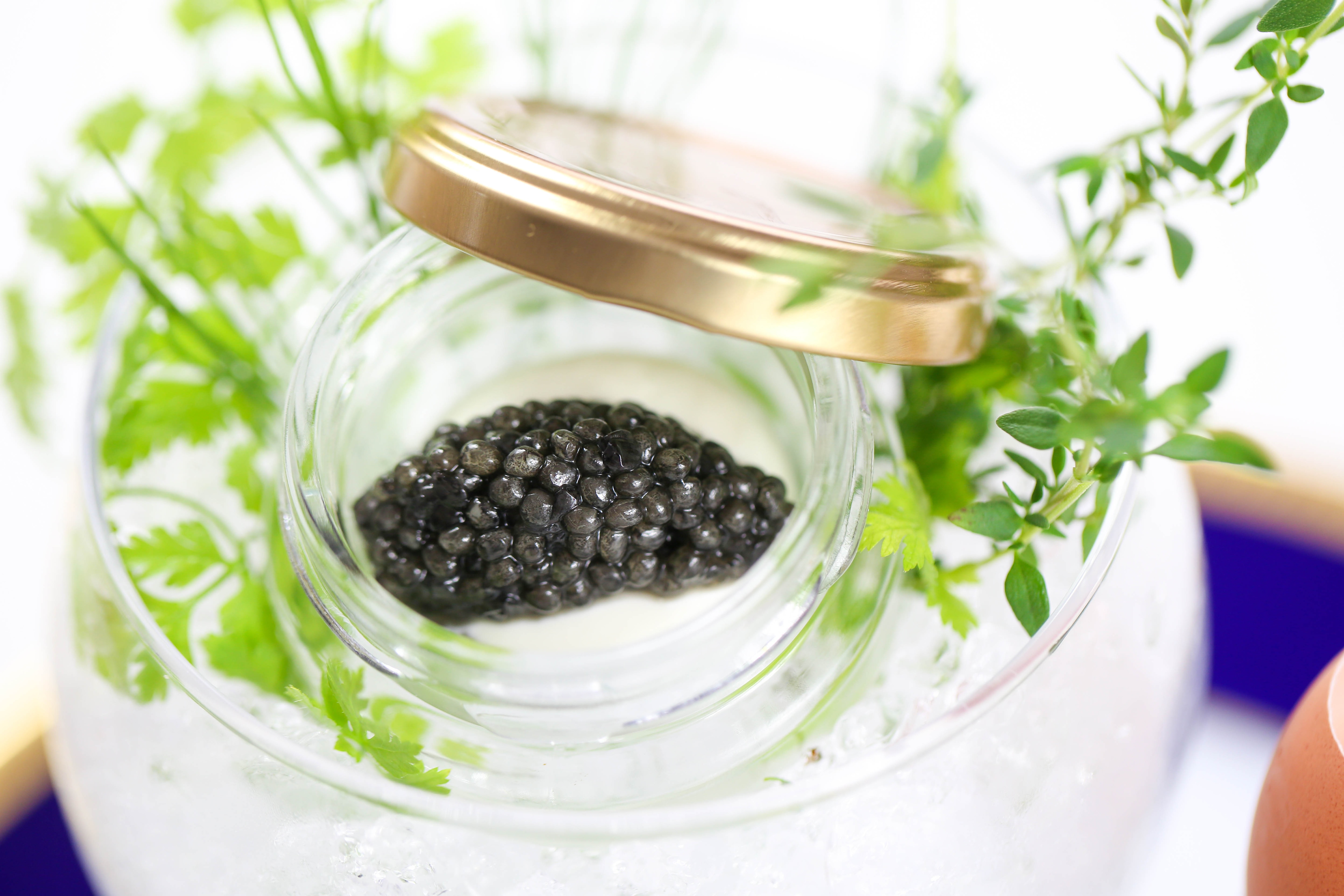 Nikko Kanaya Hotel Homemade Caviar