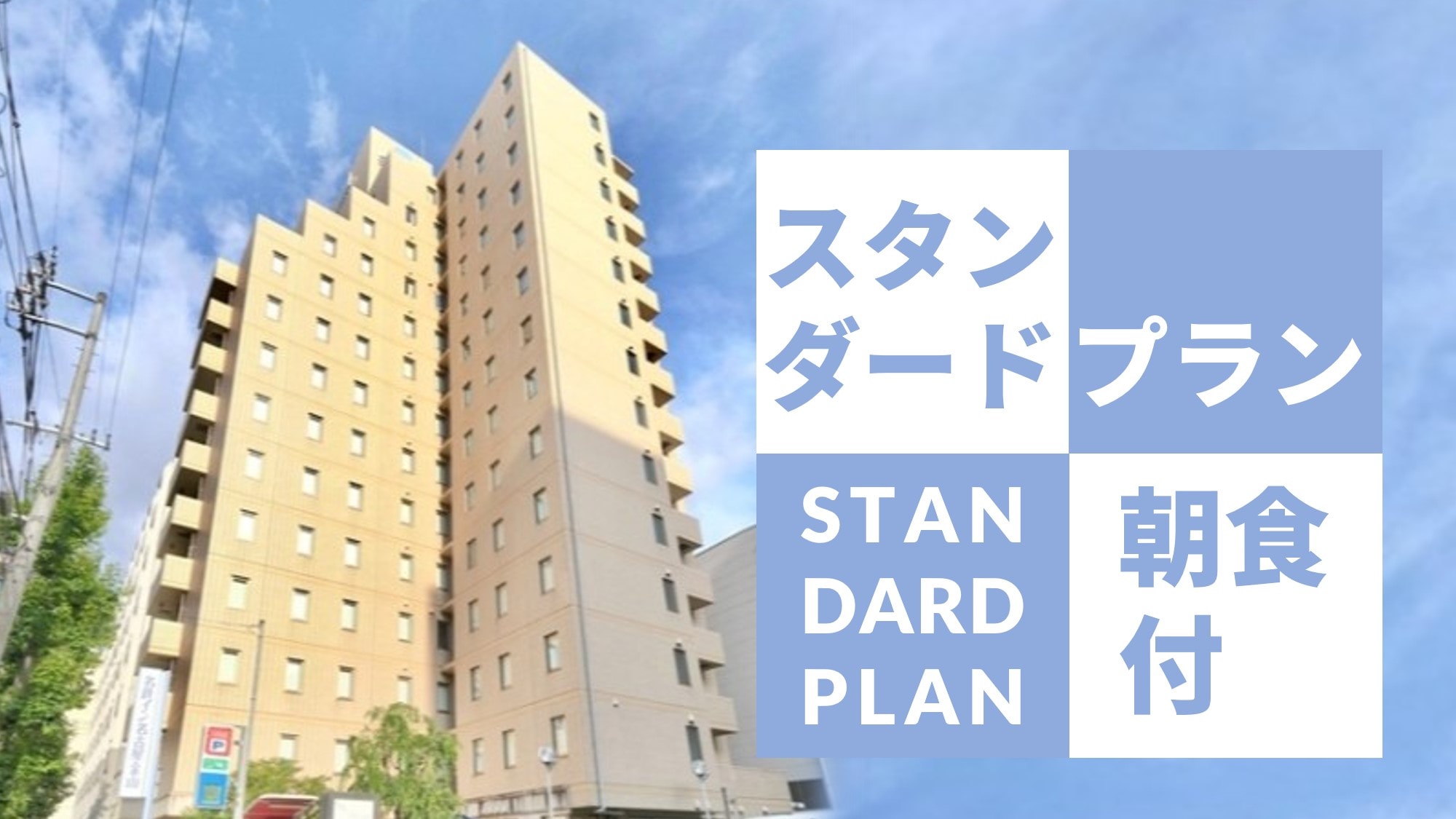 Standard Plan