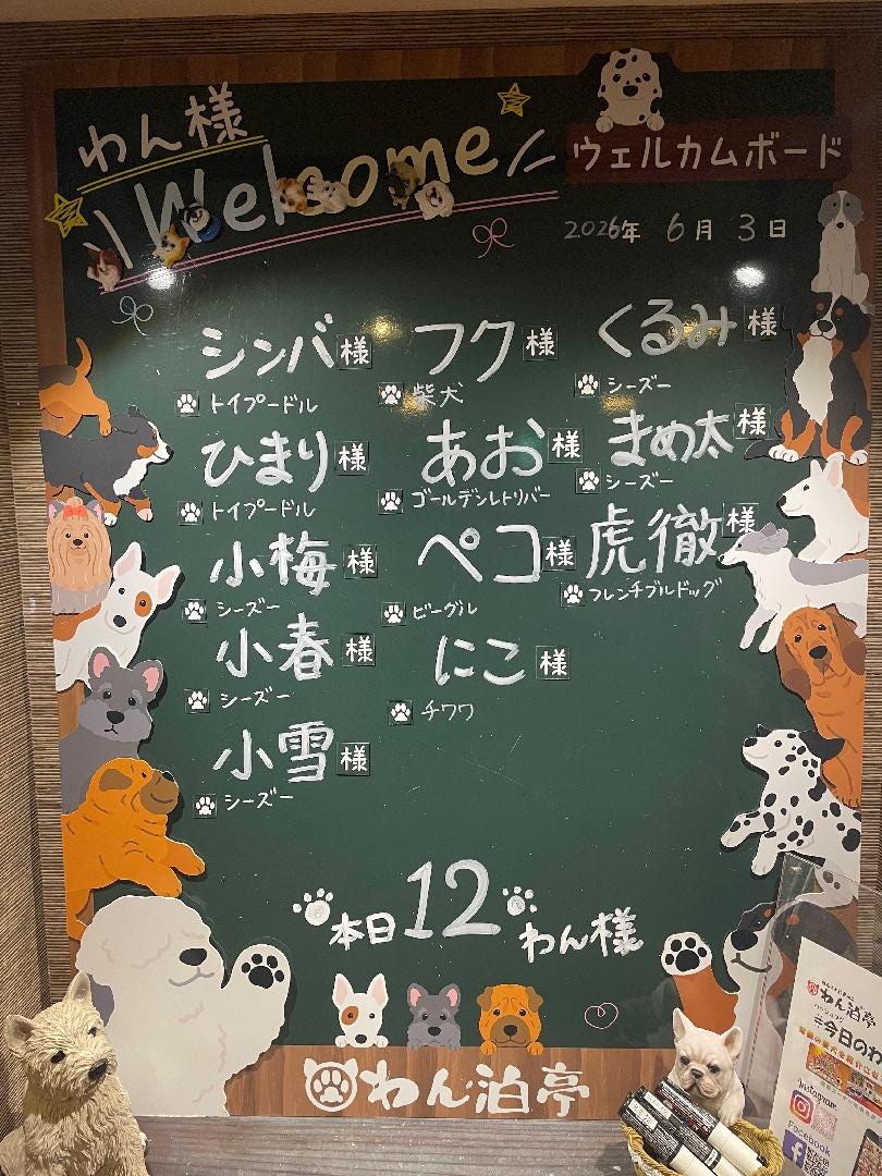 IMG_9286.jpeg