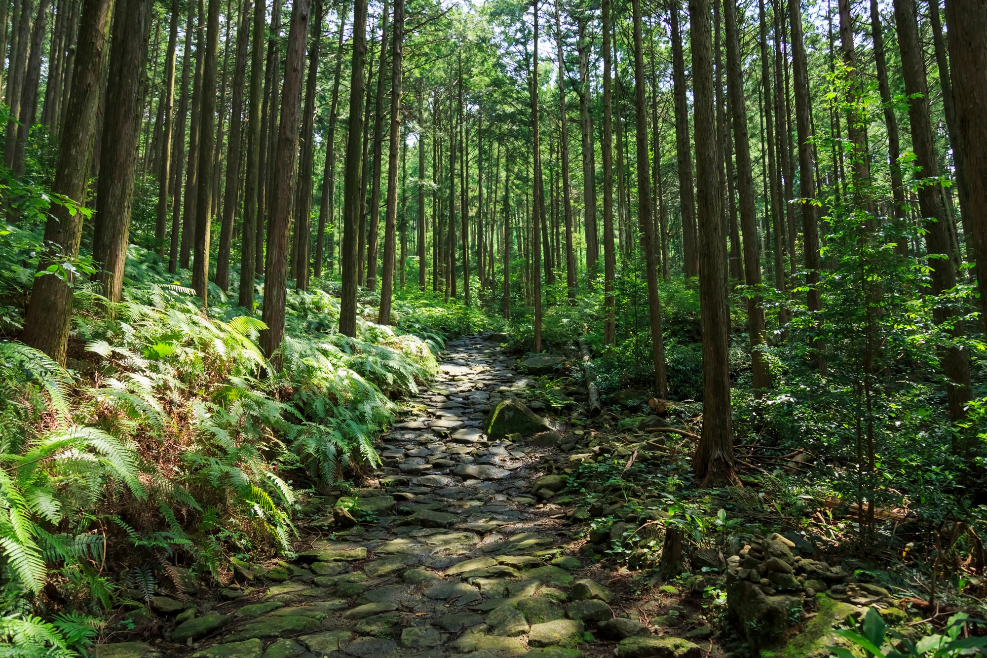 Kumano Kodo