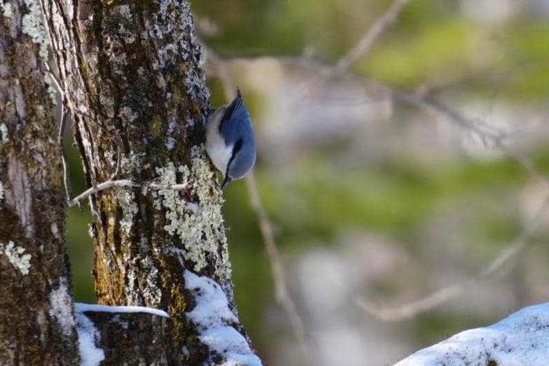 写真 2025-12-28 9 26 42.jpg