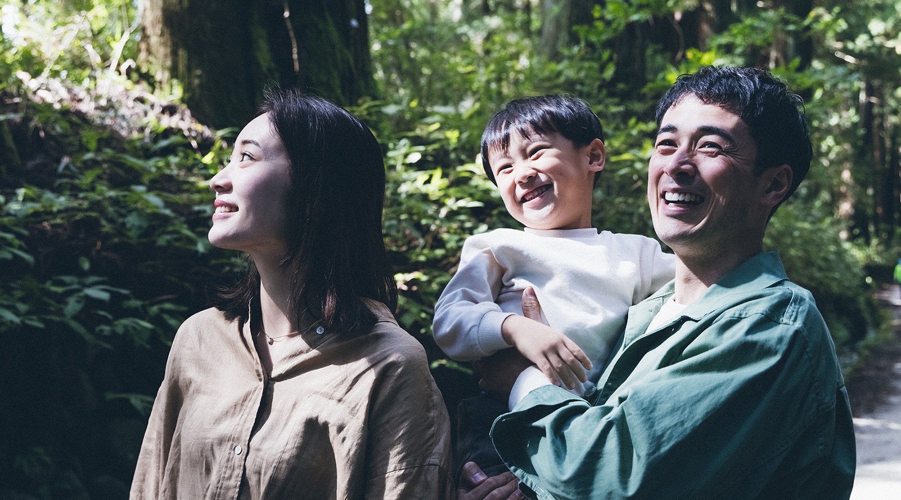 Use our hotel as your base for a trip that allows you to fully enjoy the attractions of the region.